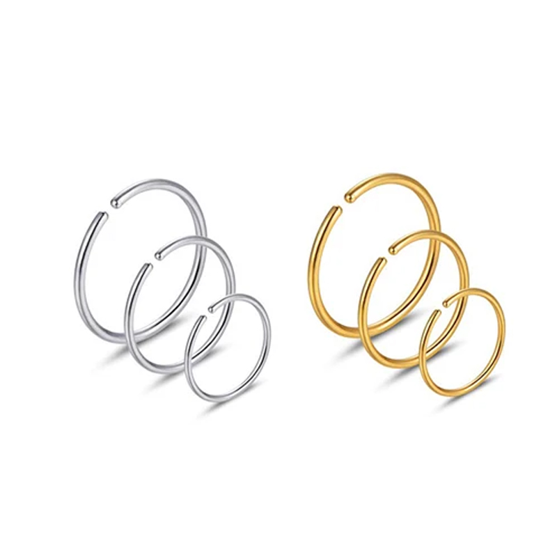 6 Stück/Set Hypoallergene Nase – Body Jewelry And Earrings Bewertung und Preis