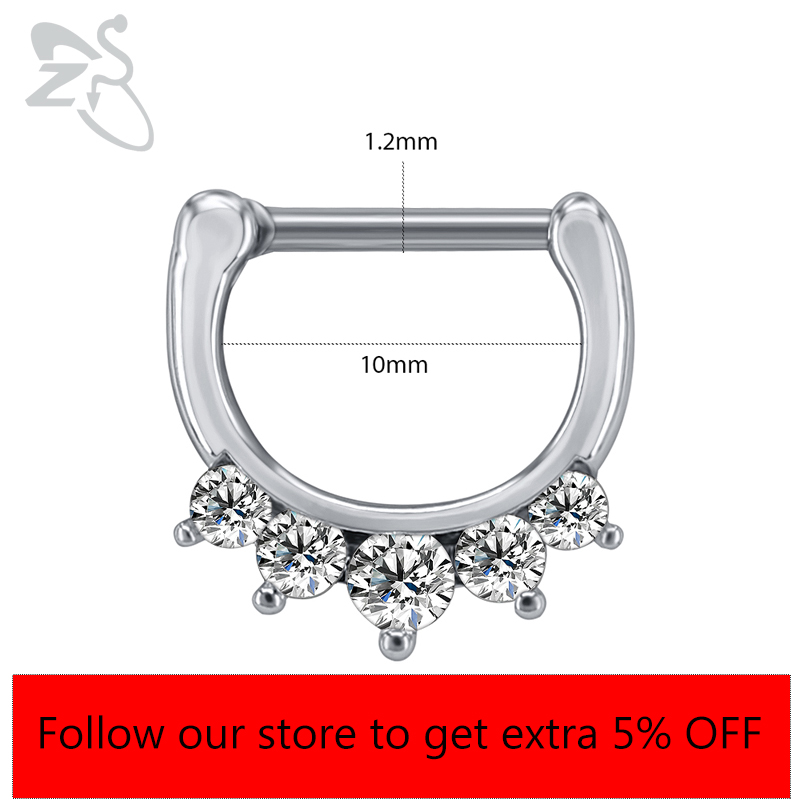 ZS 16G Chirurgenstahl Indische – Zs Body Jewelry Bewertung und Preis